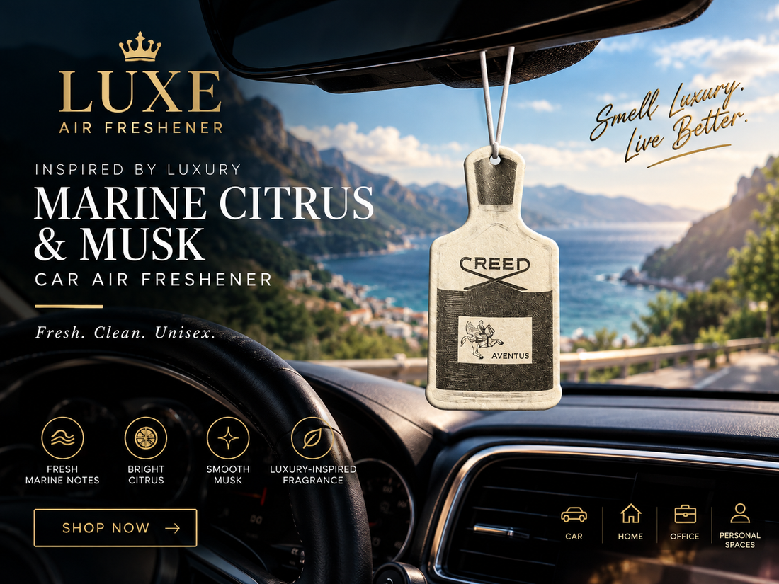 Best Luxury Car Air Freshener: 7 Reasons Your Car Deserves a Signature Scent